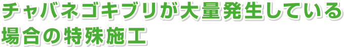 チャバネゴキブリが大量発生している場合の特殊施工