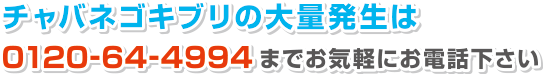 チャバネゴキブリの大量発生は
0120-64-4994までお気軽にお電話下さい