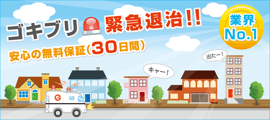 ゴキブリ緊急退治！！安心の無料保証（30日間）