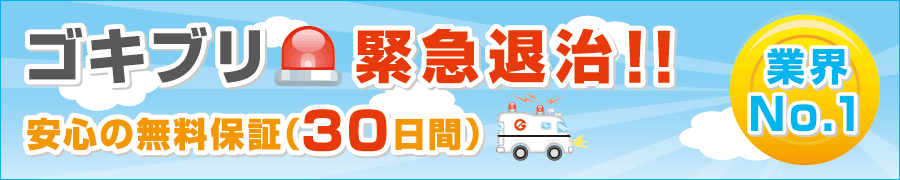 ゴキブリ緊急退治！！安心の無料保証（30日間）